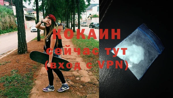 индика Медвежьегорск