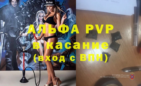 индика Медвежьегорск