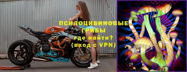 ГАЛЛЮЦИНОГЕННЫЕ ГРИБЫ Баксан
